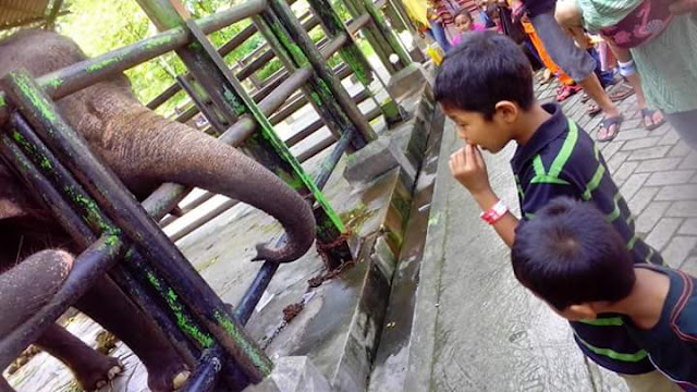 tips lengkap liburan bersama anak