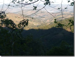 P1010324