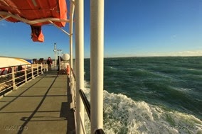 IMG_6725