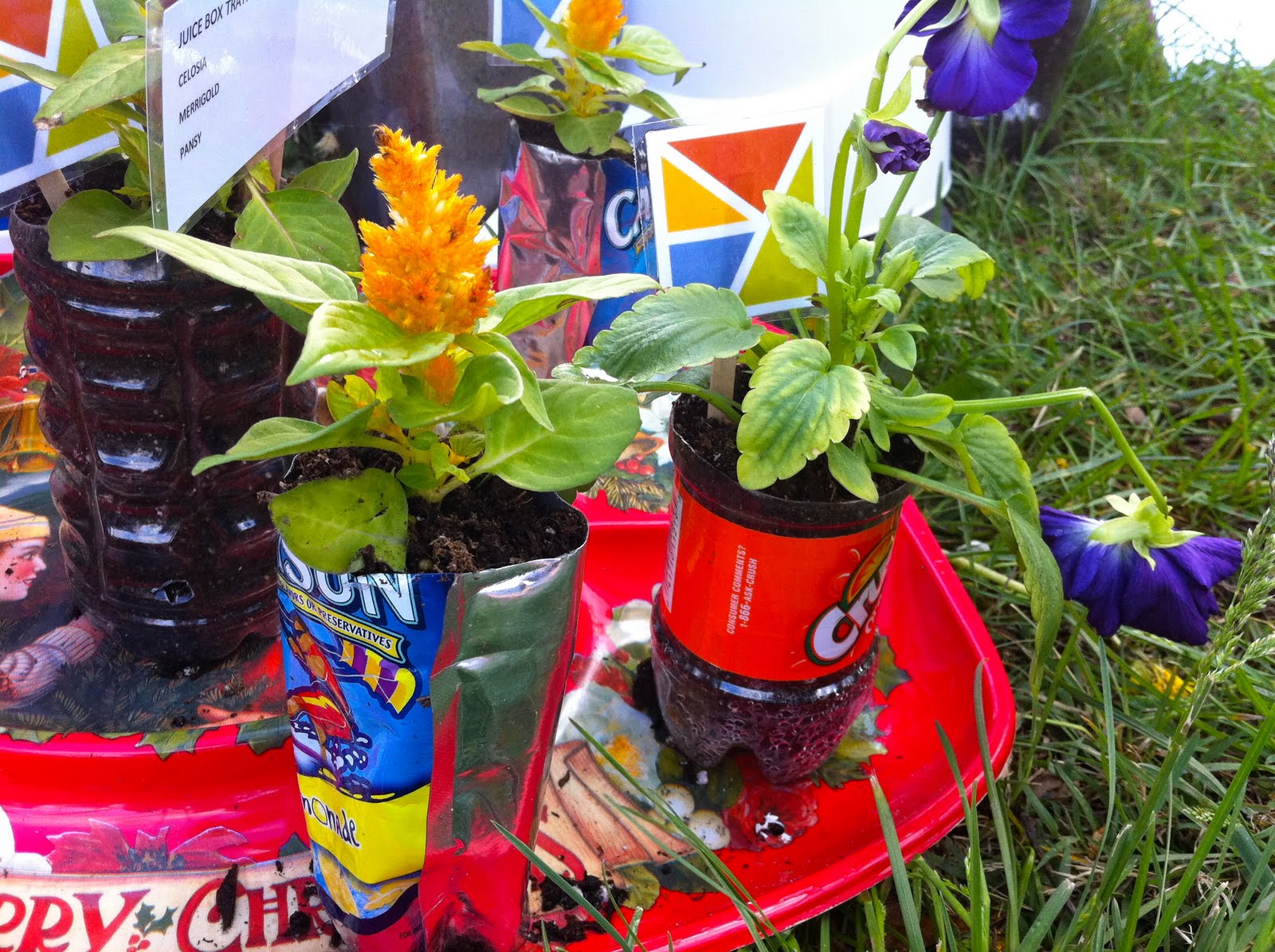 garden ideas recycled materials Recycled Plastic Bottle for Garden | 1600 x 1195