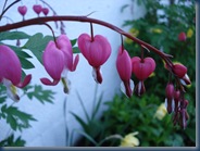 DSC00034