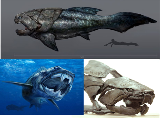 Los placodermos como este doncleosteus representan los primeros peces con mandíbulas registrados (YouTube).