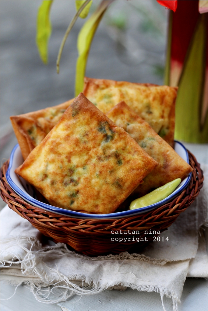 MARTABAK PRAKTIS ISI AYAM  Catatan Nina  Aneka Resep  