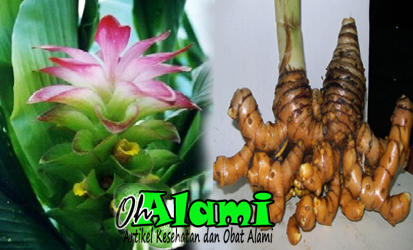 Obat Alami Masuk Angin 