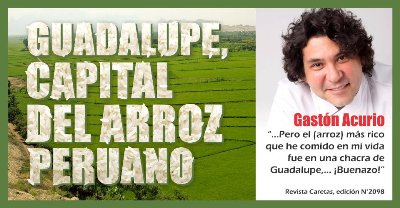 PROYECTO GUADALUPE