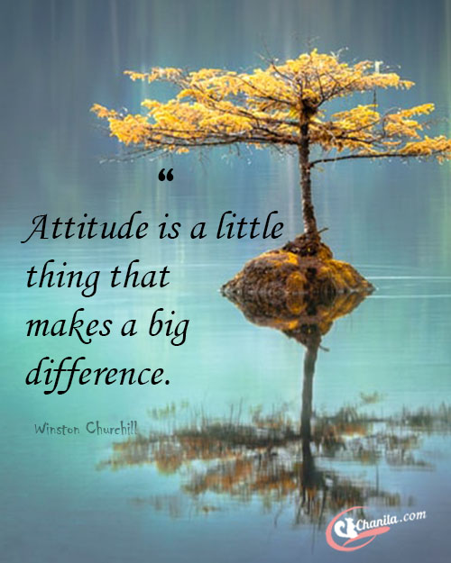 40+ Best Attitude Quotes on Beautiful Images to Explore