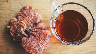 Ganoderma lucidum Supplement