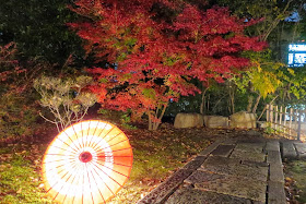 京都 勝林寺紅葉ライトアップ