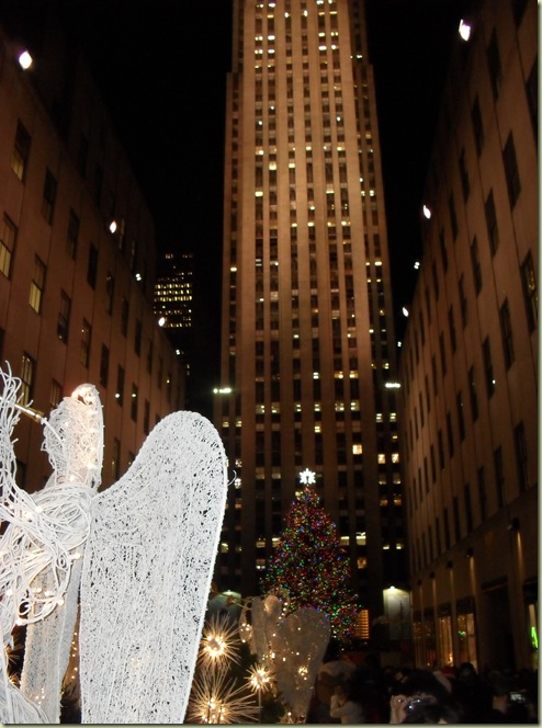 nyc christmas 2010 074