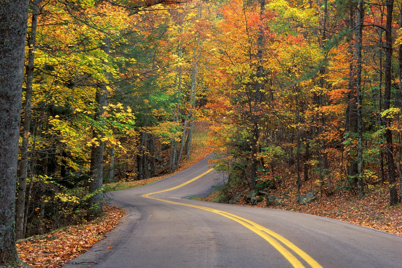 1 Wallpaper Picture Photo Gambar Gambar Jalan Terindah o 1 Wallpaper Picture Photo Gambar Gambar Jalan Terindah o