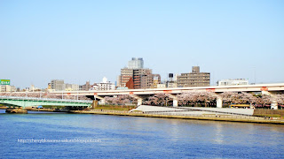 asakusa park tokyo