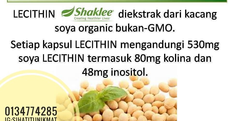 Lecithin Bukan Sekadar Untuk Kurus, Bagus Untuk Otak Dan 