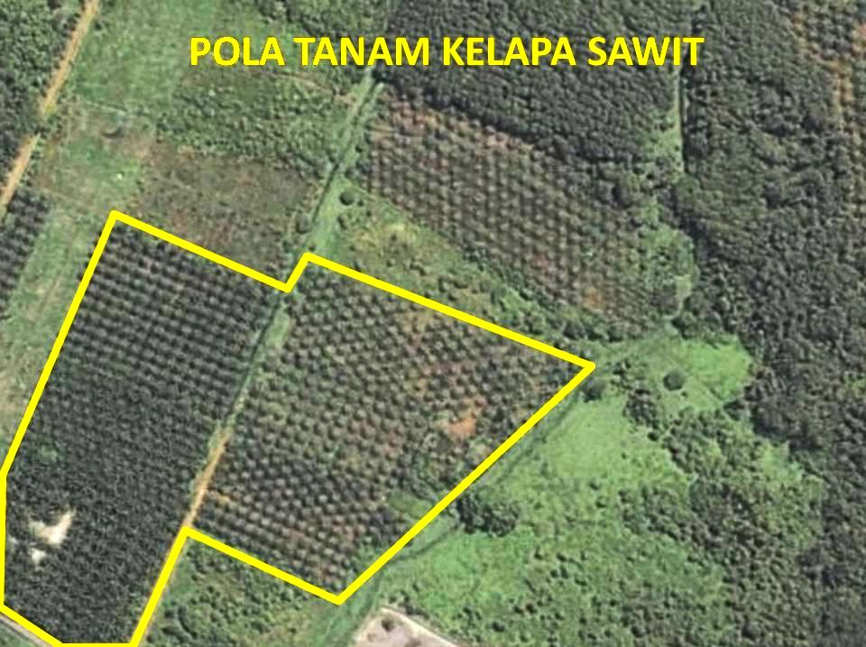 Manfaat Citra Satelit di Bidang Pertanian dan Perkebunan 