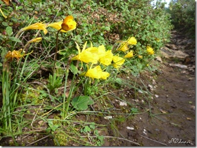 P1000116