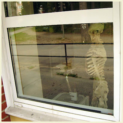 Skelettet Åke vaktar skolans overhead.