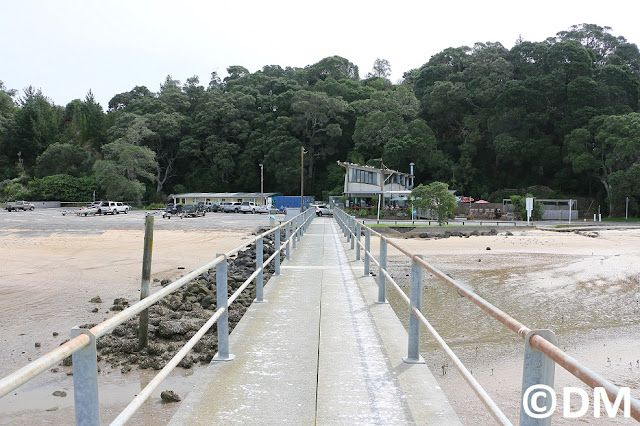 Photo de Shelly's beach sur la péninsule sud de Kaipara Harbour Nouvelle-Zélande