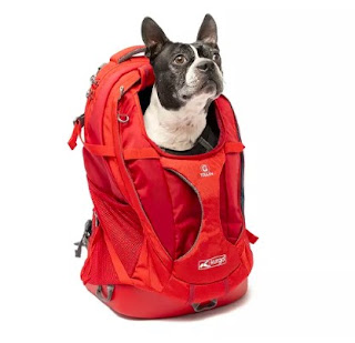 Best Outdoors Dog Carry Bag: Kurgo G-Train Dog Carrier Backpack