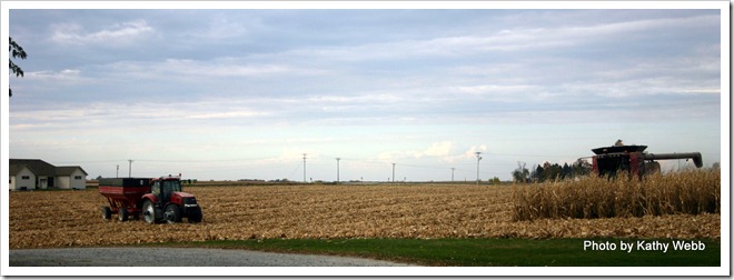 IMG_7233 IMG_7233