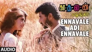 Ennavale Adi Ennavale Song Lyrics - A.R. Rahman | P. Unnikrishnan