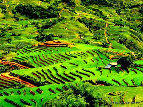 Top 10 điểm du lịch đẹp nhất Việt Nam bạn nên biết