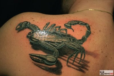 Best 3D Scorpion Tattoos