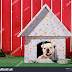 Dog House Training