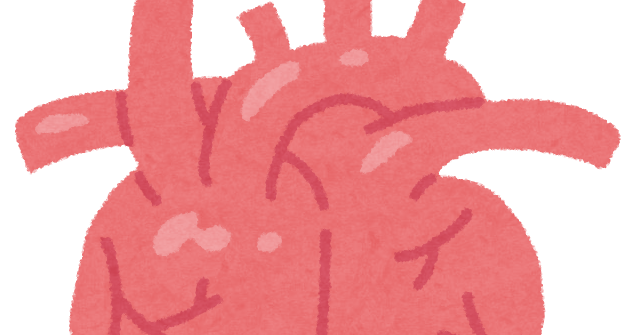 心臓のイラスト 人体 かわいいフリー素材集 いらすとや 心臓のイラスト 人体 かわいいフリー素材集 いらすとや
