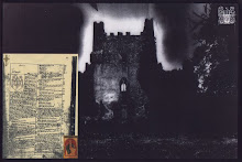 Eire - Carroll Marshal - Ireland - Carroll Foundation Trust - National Interests Case