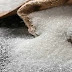 சீனியின் விலை மேலும் உயரும் சாத்தியம்