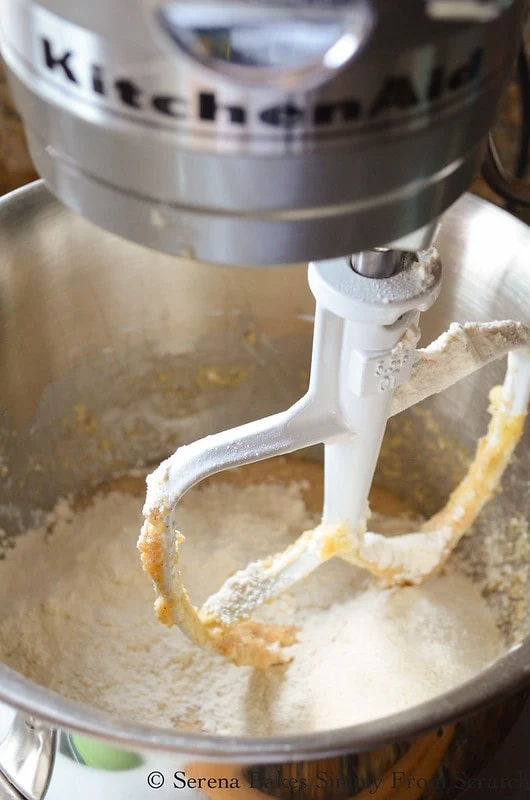 Blueberry Muffin Batter mix in flour.