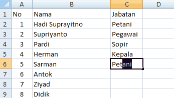 auto complete excel