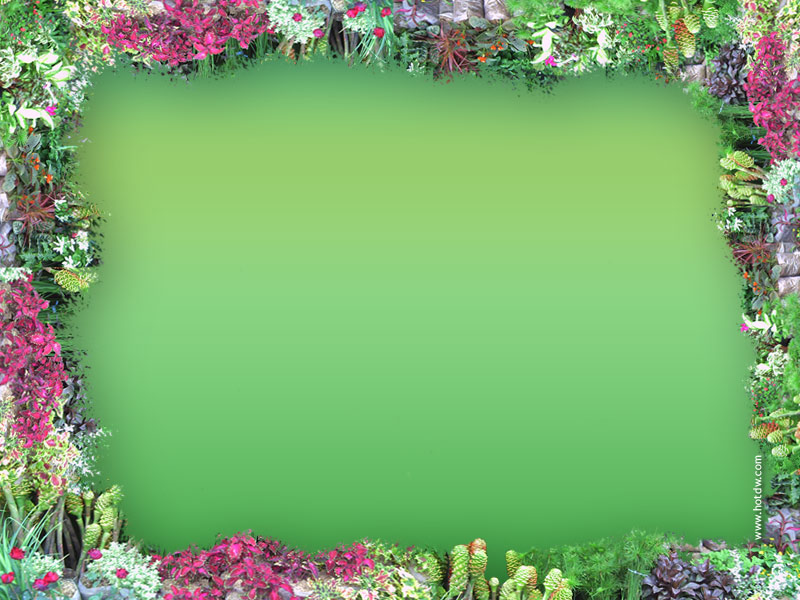Desktop Backgrounds Of Flowers. desktop wallpaper flowers.