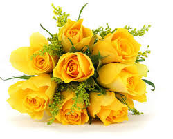 Hd Images Of Yellow Rose 22