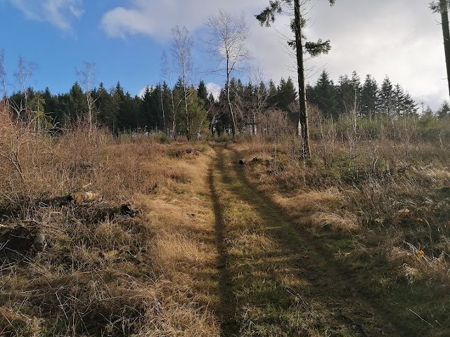 Sauerland wandern Wetter blog Sundern Homert X24 Möhne-Westerwald-Weg