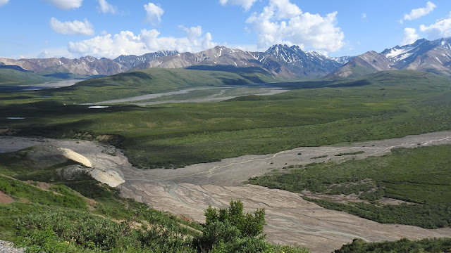 Denali National Park And Preserve