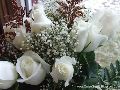 White Roses