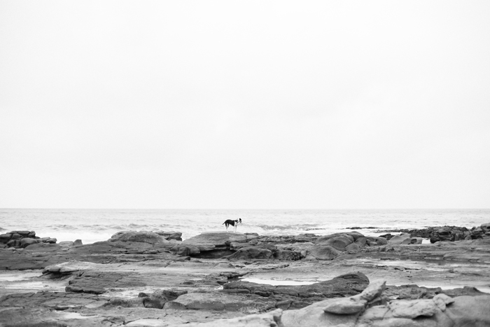 black and white photo of beach