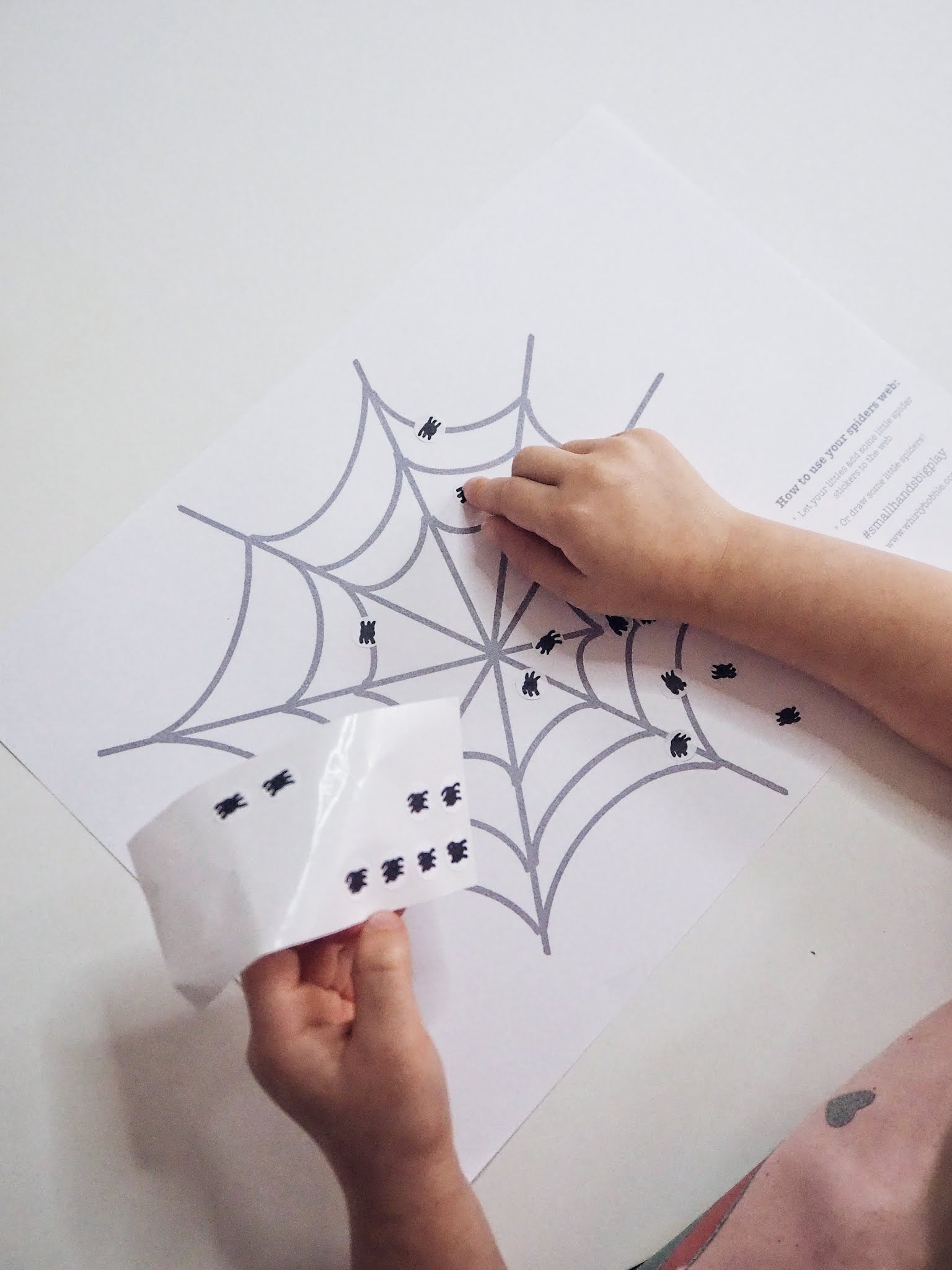 spider halloween craft