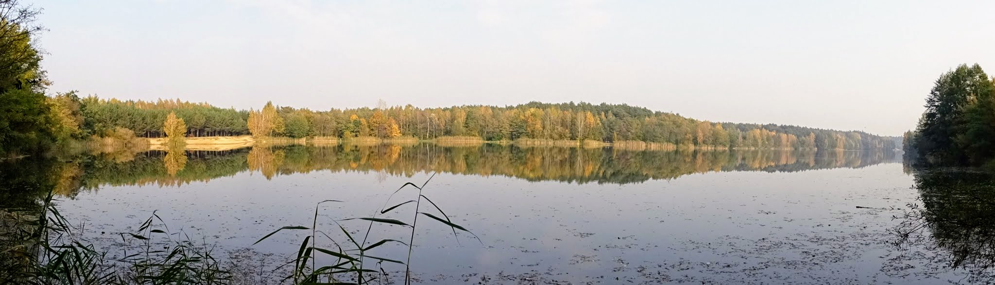 Zdjęcie: