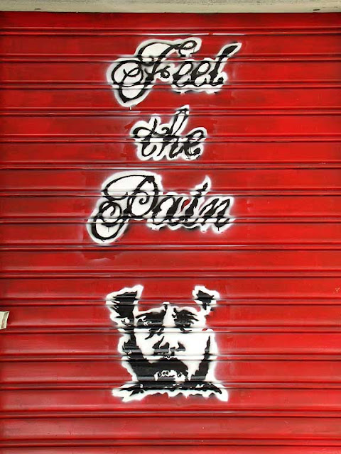 Feel the Pain ad, tattoo parlor shutter, via Paoli, Livorno