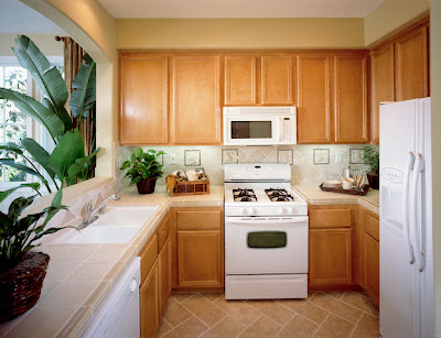 Apartment Kitchen Design Photo