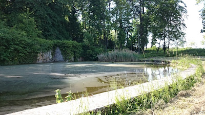 Bassin du Château de Toussicourt à Hermonville