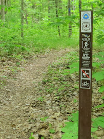 Carsonite posts at a road crossing on the North Country Traill