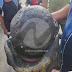 Así quedó el casco protector del bombero Frank Alberty Cartillo, quien falleció este viernes en la Unidad de Quemados Pearl. F. Ort del hospital Ney Arias Lora