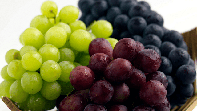 buah anggur