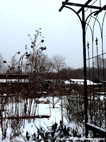 Garten mit Schneedecke