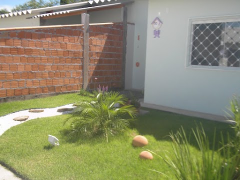 meu jardim reformulado...