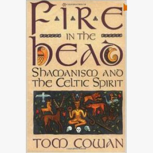 Fire In The Head Shamanism And The Celtic Spirit