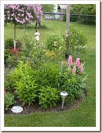 DSCN0550