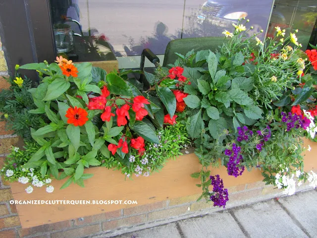 Planting The Prettiest Window Box In Town #containergarden #windowbox #annuals